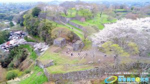 岡城跡 大手門 桜の写真 Vol.12